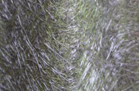 Thixendale fibreglass roof work