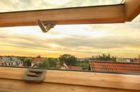 rated Thixendale roof window companies